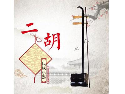 招聘六盘水二胡家教老师